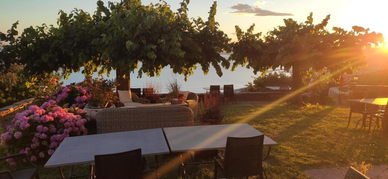Olivenere Agriturismo Lavagna Ngoại thất bức ảnh